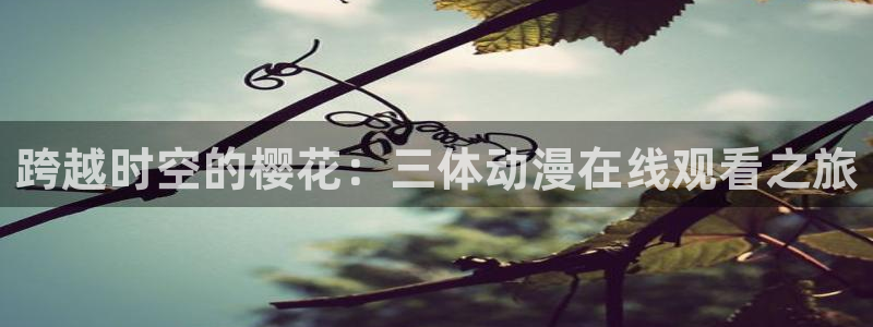 影院星空
