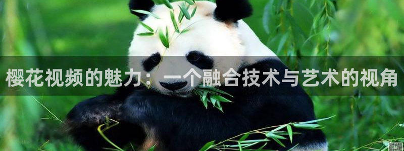 《雁回时》神马影院