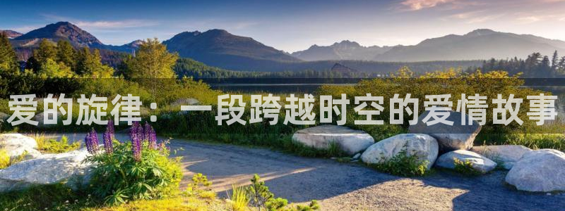 星空传媒免费观看视频