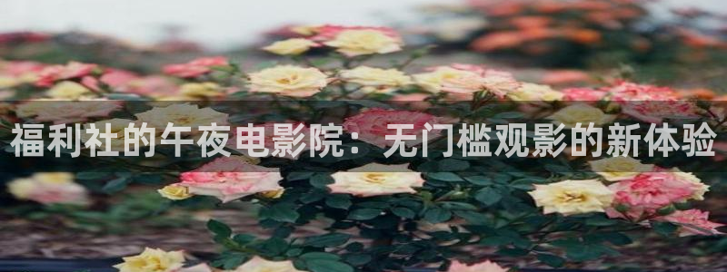 时光代理人第一季免费观看高清版星空影视