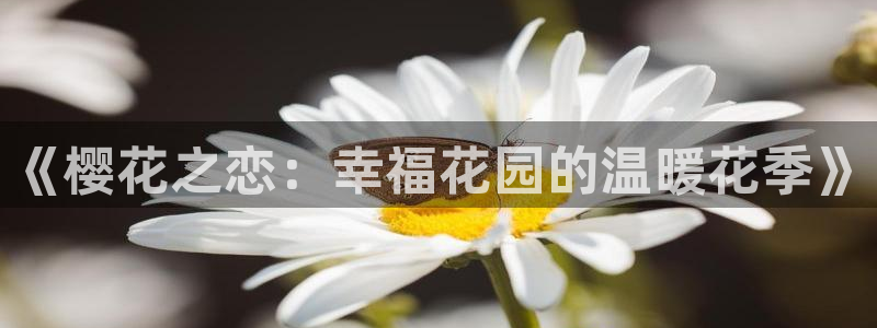 星空图片下载