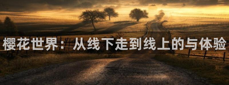 星空mv视频免费观看
