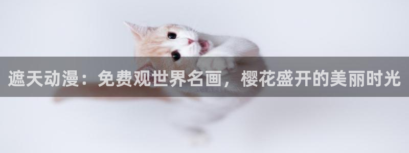 熊出没星空影视
