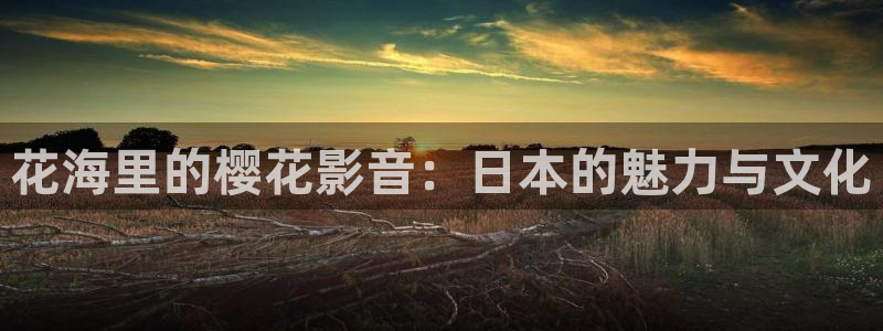 神马影院免费观看电视剧电影2024年