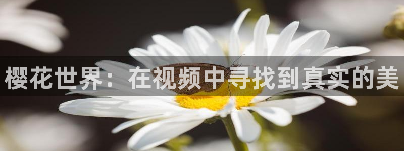 天美星空高清免费
