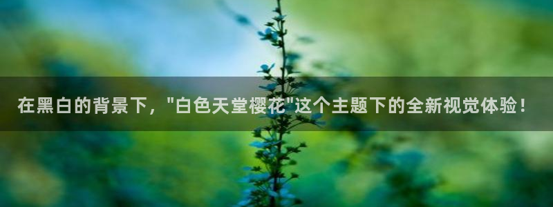 星空影视