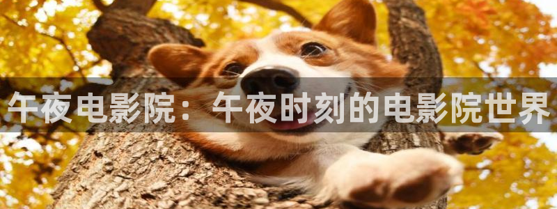 在线影视星空
