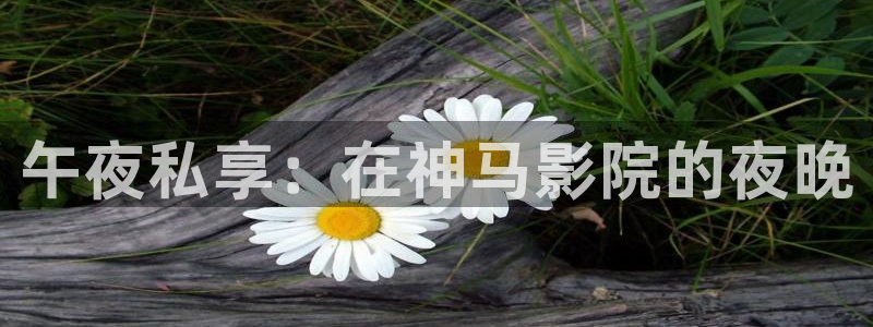 神马影院免