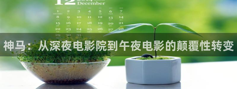 神马影院免费观看电视剧电影2024年