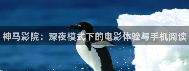 神马影院在线观看免费观看电视剧全集