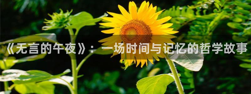 星空影视网下载app