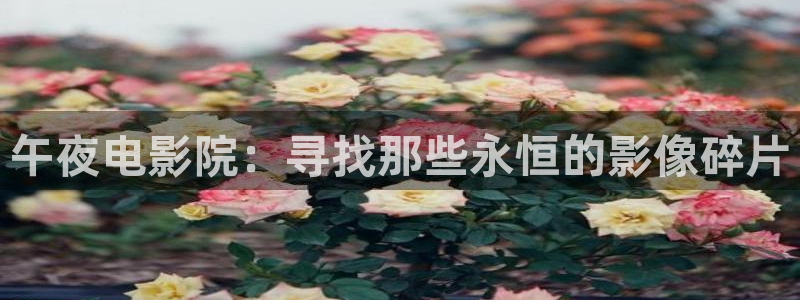 神马影院大全在线观看完整