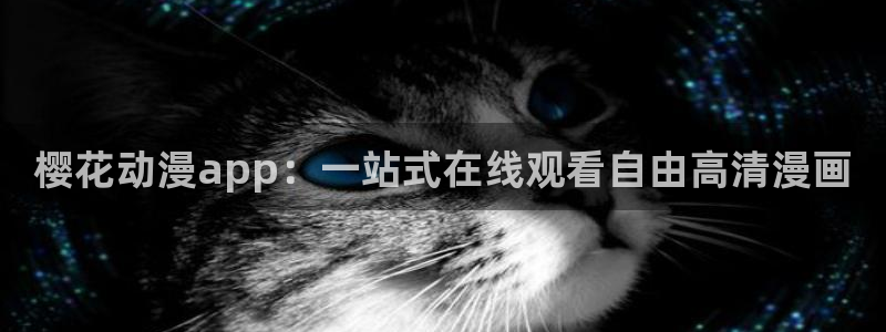 在线免费观看星空影视
