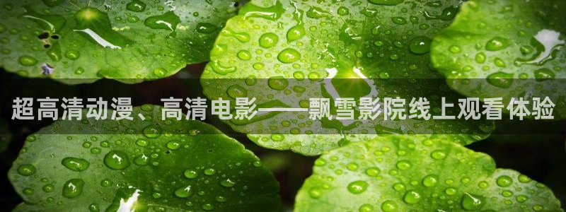 神马影院在线观看免费播放电视剧最