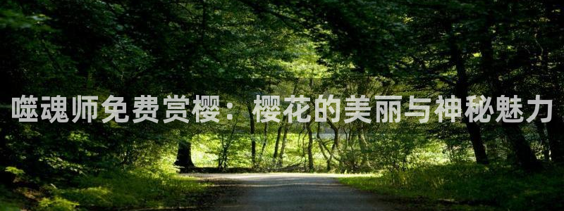 星空影视电影免费观看