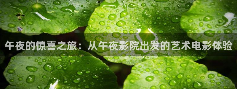 星空视频素材