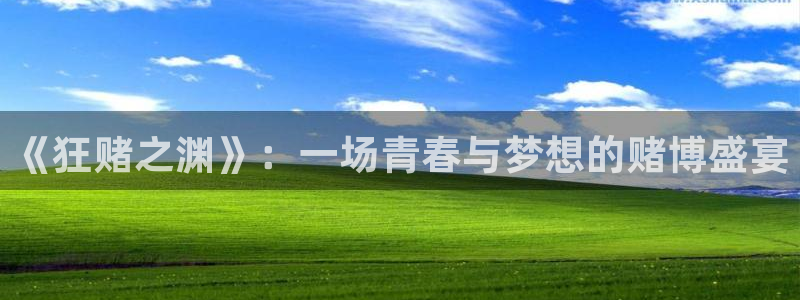 星空视频mv