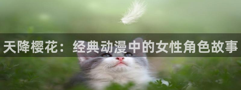 星空影视下载ios