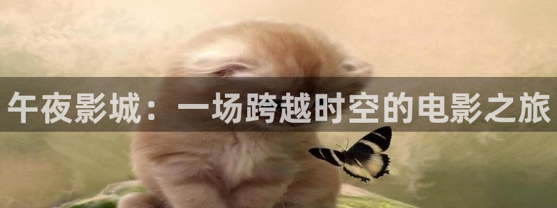 那片星空那片海2电视剧