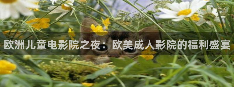 星空电影影院在线观看