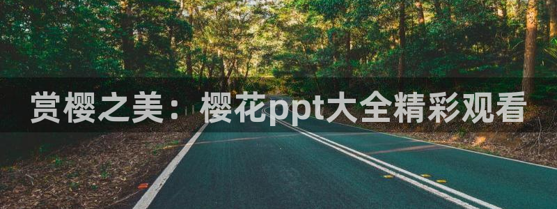 星空影视官网