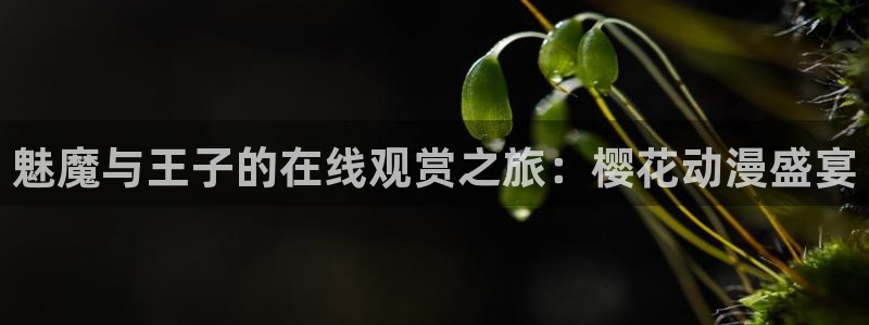 星空电影网免费看电影