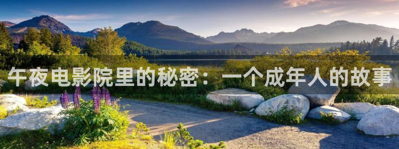 星空电影高清免费完整版观看