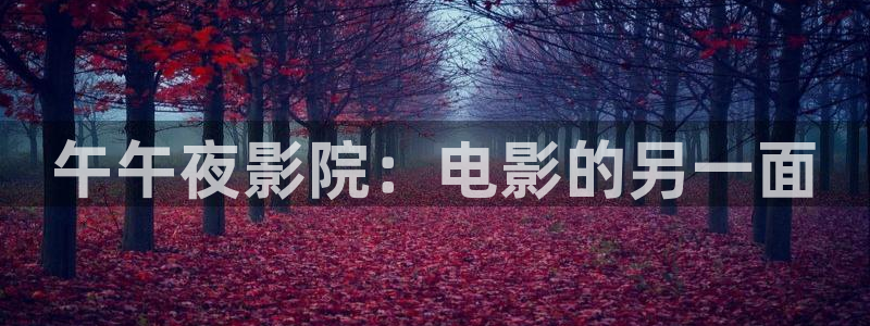 星空影视app官网