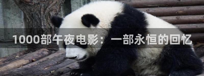 星空无限传媒高清电视剧在线观看